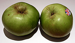 Bramley apple