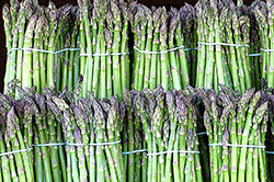 Asparagus