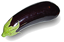 Aubergine