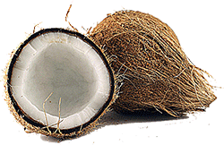 DESSICATED COCONUT