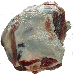 Lamb meat - shoulder