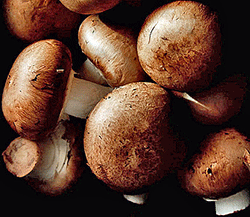 Chestnut Mushrooms