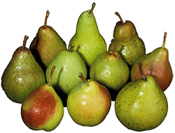 Pears