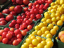 plums for jam making