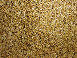 Rolled Oats