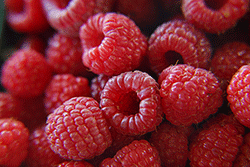 Raspberries