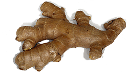 Ginger Preserved