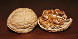 Walnuts