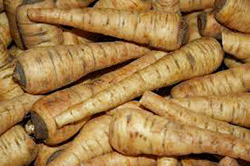 Parsnips