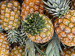 Pineapples
