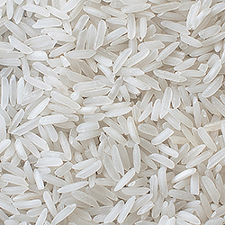 Short Grain Rice