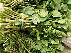 Watercress