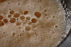 Fermenting yeast